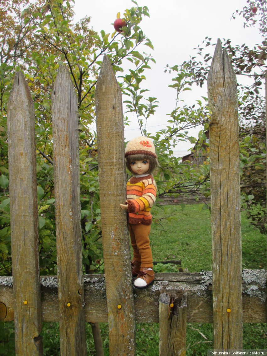 Рябиновый король или осень на даче