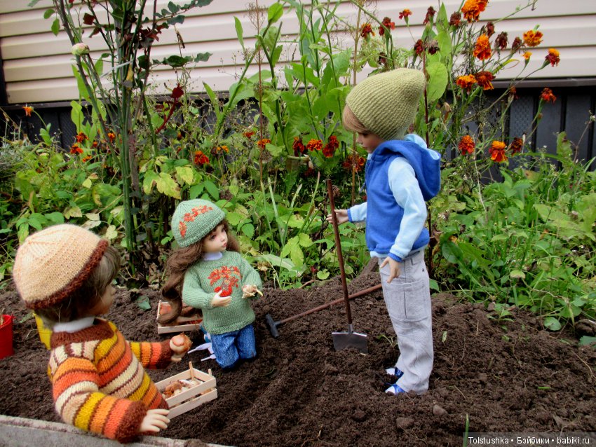 Рябиновый король или осень на даче