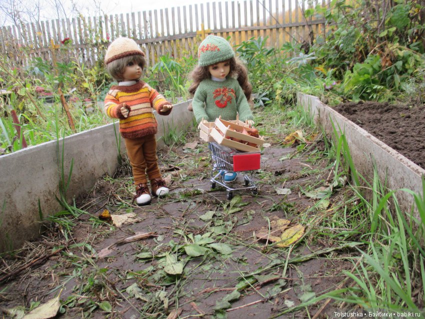 Рябиновый король или осень на даче (фото 5)