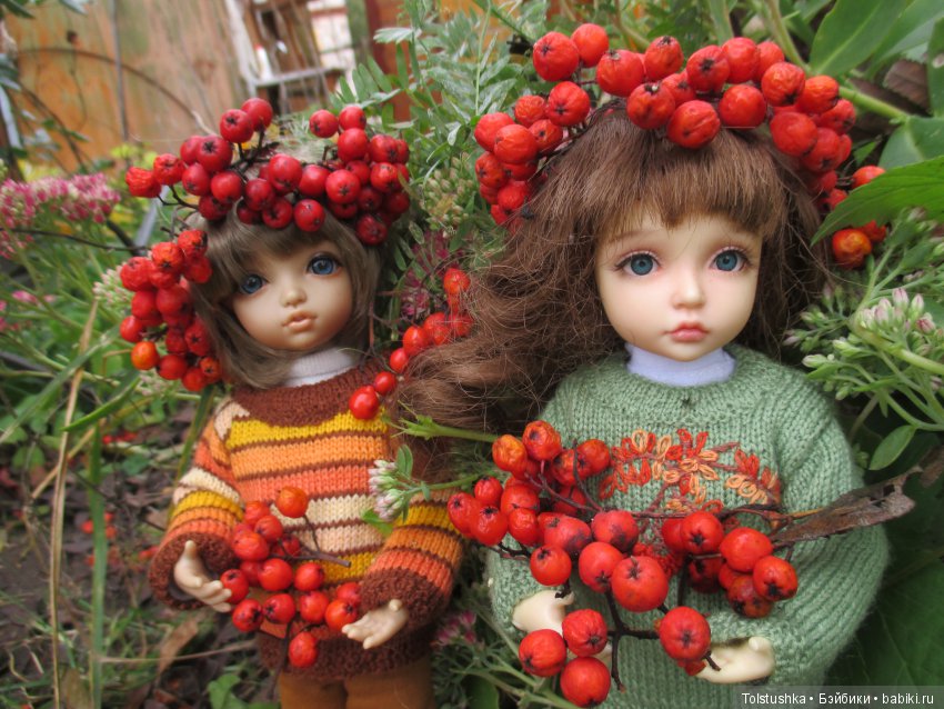 Рябиновый король или осень на даче