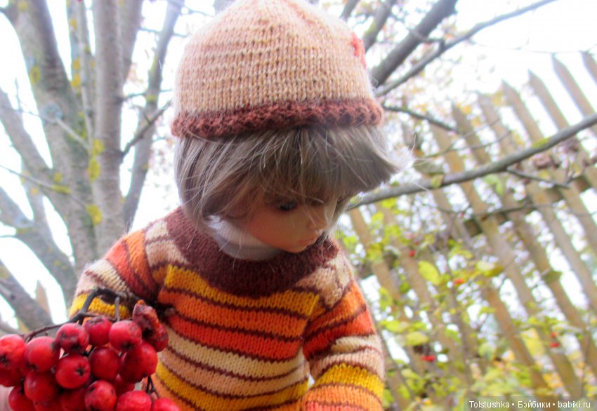 Рябиновый король или осень на даче