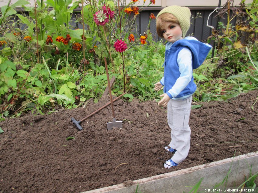 Рябиновый король или осень на даче (фото 10)