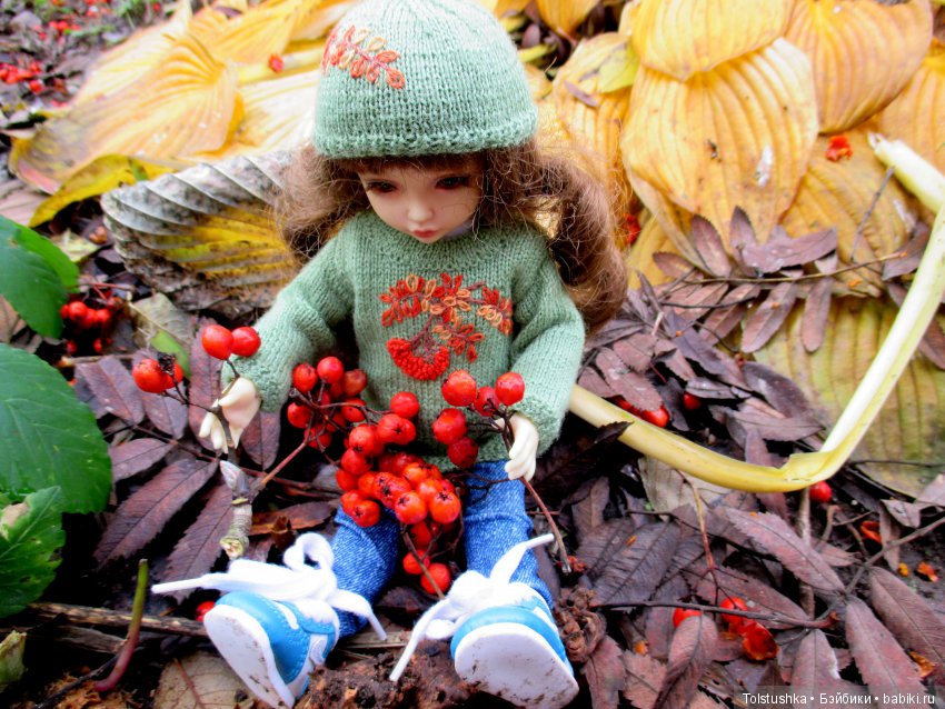 Рябиновый король или осень на даче