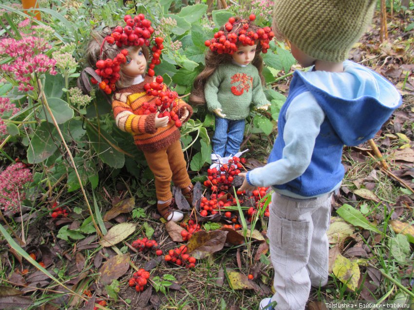 Рябиновый король или осень на даче
