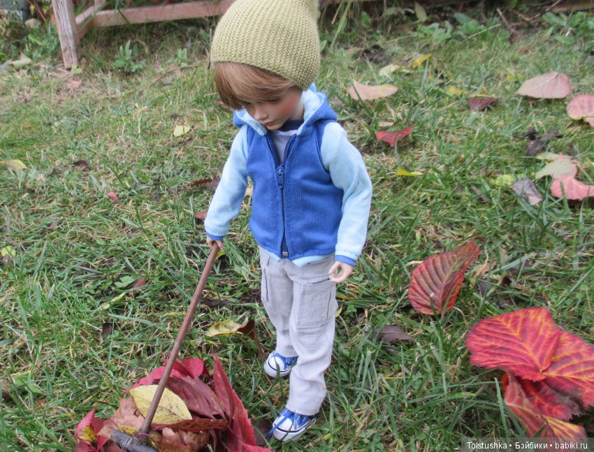 Рябиновый король или осень на даче