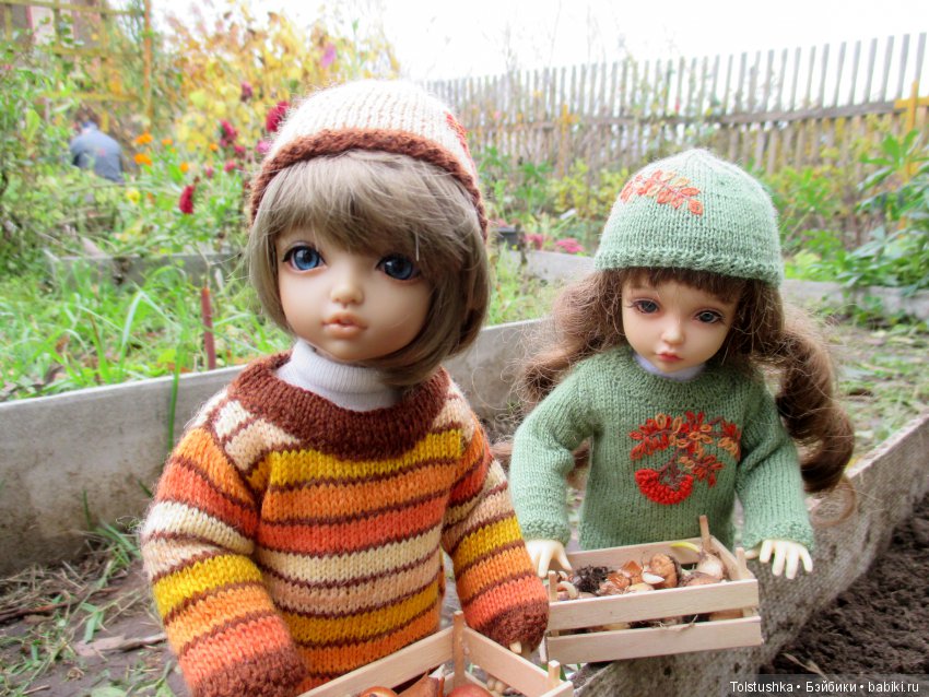 Рябиновый король или осень на даче (фото 6)