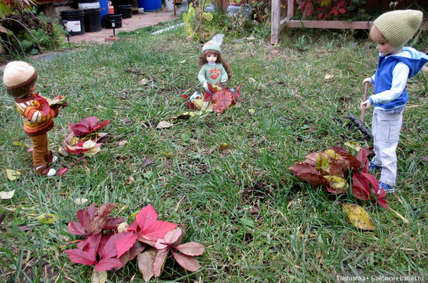 Рябиновый король или осень на даче