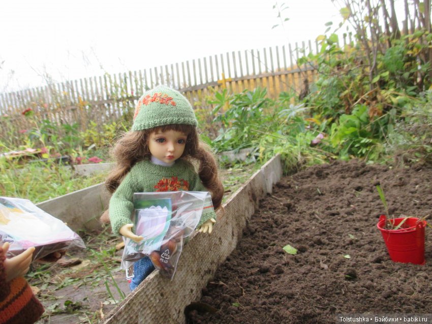 Рябиновый король или осень на даче (фото 8)