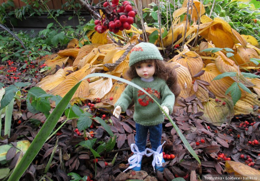 Рябиновый король или осень на даче