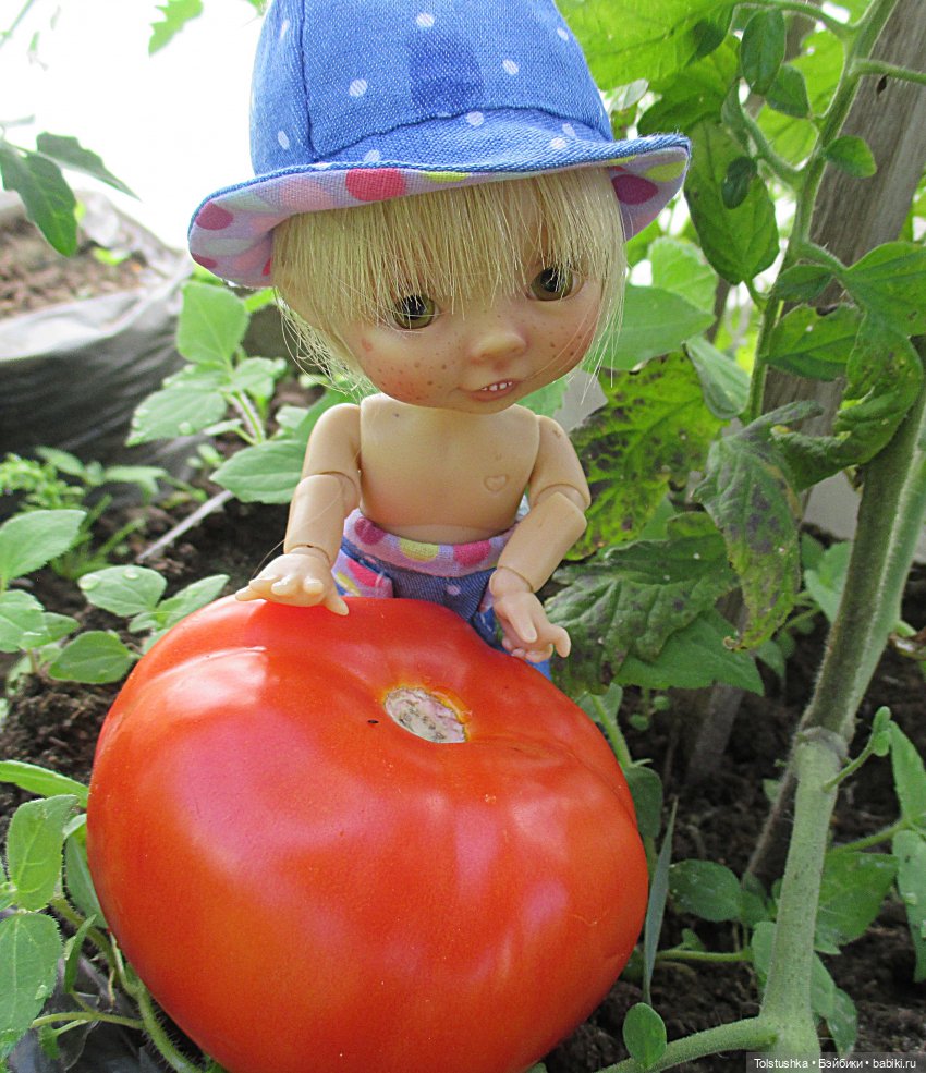 А это чо — Куклы Nikki Britt (Никки Бритт): авторские BJD (БЖД)