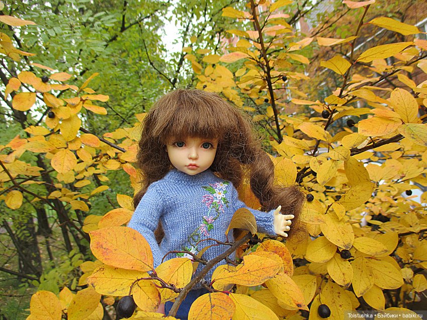 Погуляем | Бэйбики Погуляем — Куклы Iplehouse (Иплхаус): BJD (БЖД)