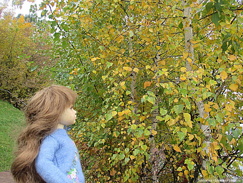 Погуляем | Бэйбики Погуляем — Куклы Iplehouse (Иплхаус): BJD (БЖД)