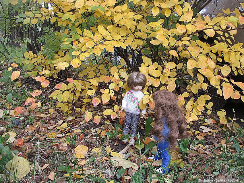 Погуляем | Бэйбики Погуляем — Куклы Iplehouse (Иплхаус): BJD (БЖД)