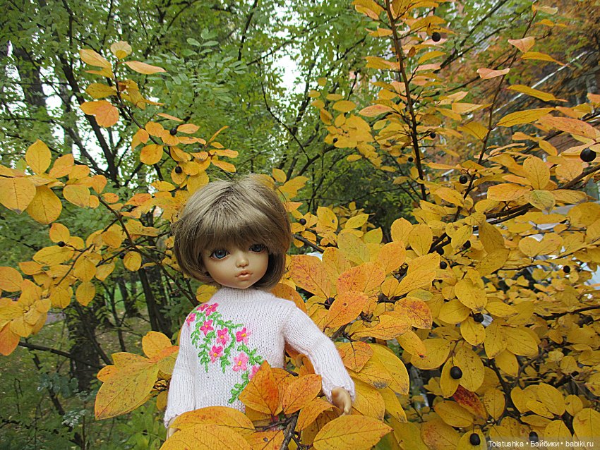 Погуляем | Бэйбики Погуляем — Куклы Iplehouse (Иплхаус): BJD (БЖД)