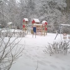 Весна заблудилась (одно фото)