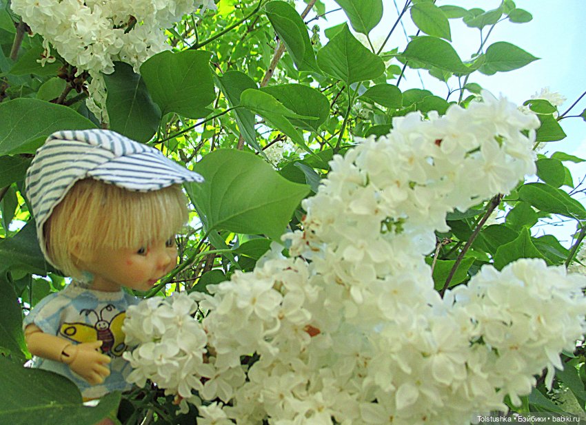 Дачные чудеса — Куклы Nikki Britt (Никки Бритт): авторские BJD (БЖД)