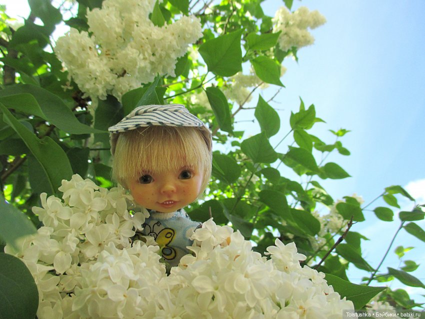 Дачные чудеса — Куклы Nikki Britt (Никки Бритт): авторские BJD (БЖД)