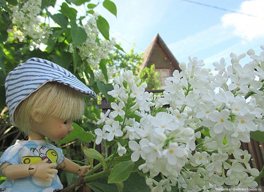 Дачные чудеса — Куклы Nikki Britt (Никки Бритт): авторские BJD (БЖД) (фото 9)