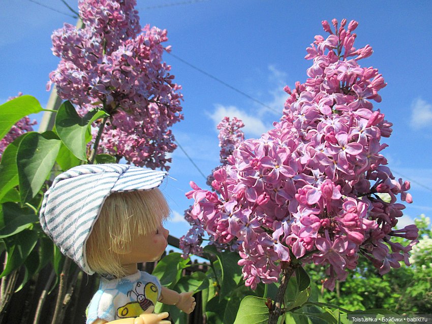 Дачные чудеса — Куклы Nikki Britt (Никки Бритт): авторские BJD (БЖД) (фото 8)