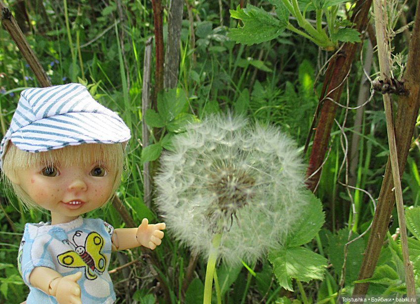 Дачные чудеса — Куклы Nikki Britt (Никки Бритт): авторские BJD (БЖД) (фото 3)