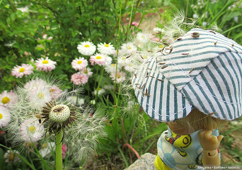 Дачные чудеса — Куклы Nikki Britt (Никки Бритт): авторские BJD (БЖД) (фото 6)