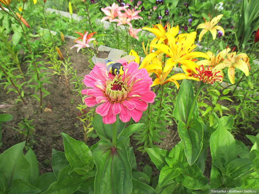 Куклы Nikki Britt (Никки Бритт): авторские BJD (БЖД)