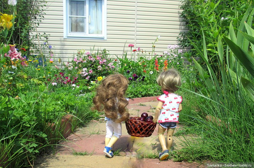 Вишенки — Куклы Iplehouse (Иплхаус): BJD (БЖД)