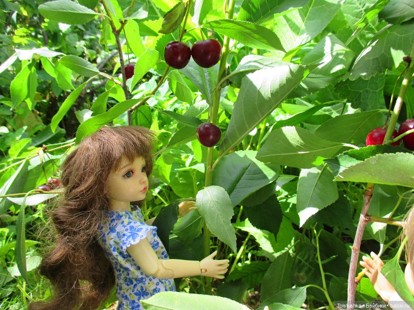 Вишенки — Куклы Iplehouse (Иплхаус): BJD (БЖД) (фото 6)