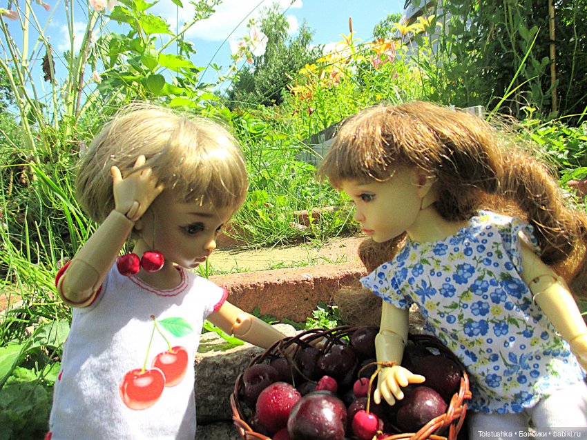 Вишенки — Куклы Iplehouse (Иплхаус): BJD (БЖД)