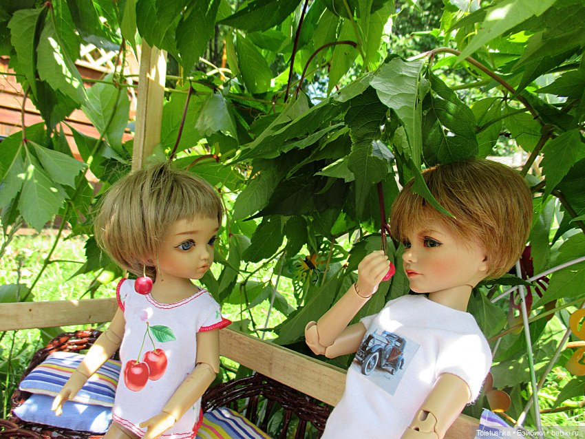 Вишенки — Куклы Iplehouse (Иплхаус): BJD (БЖД)