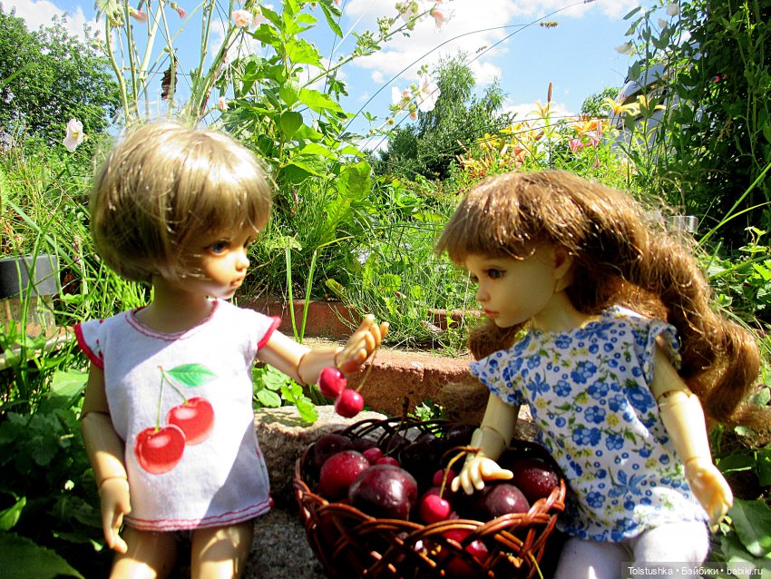 Вишенки — Куклы Iplehouse (Иплхаус): BJD (БЖД) (фото 10)