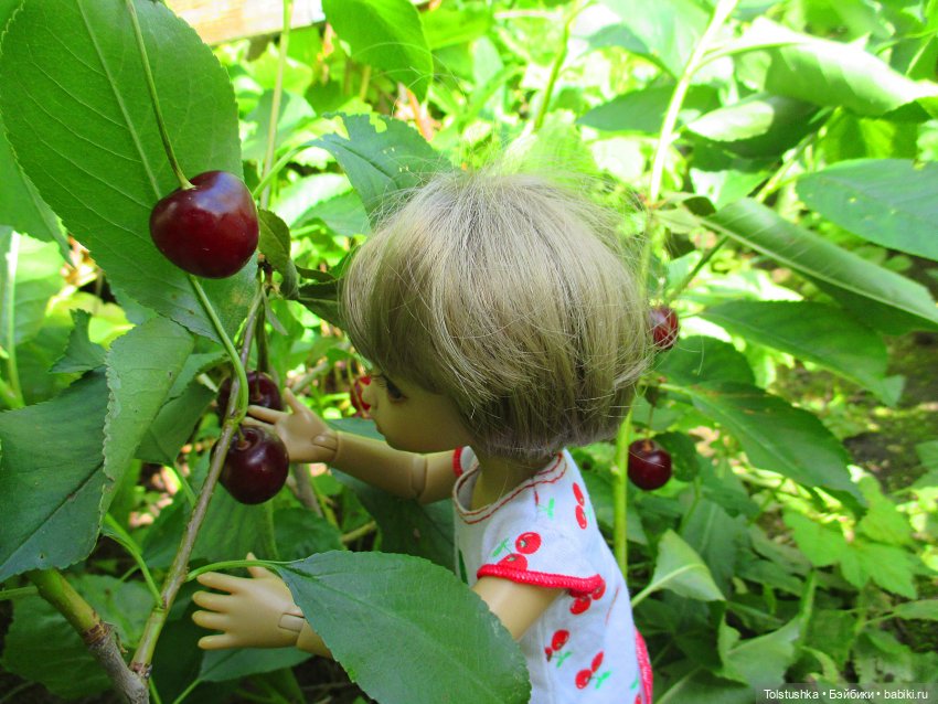 Вишенки — Куклы Iplehouse (Иплхаус): BJD (БЖД) (фото 7)