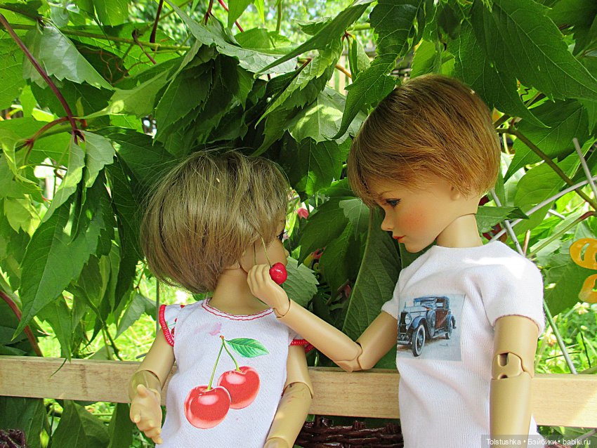 Вишенки — Куклы Iplehouse (Иплхаус): BJD (БЖД)