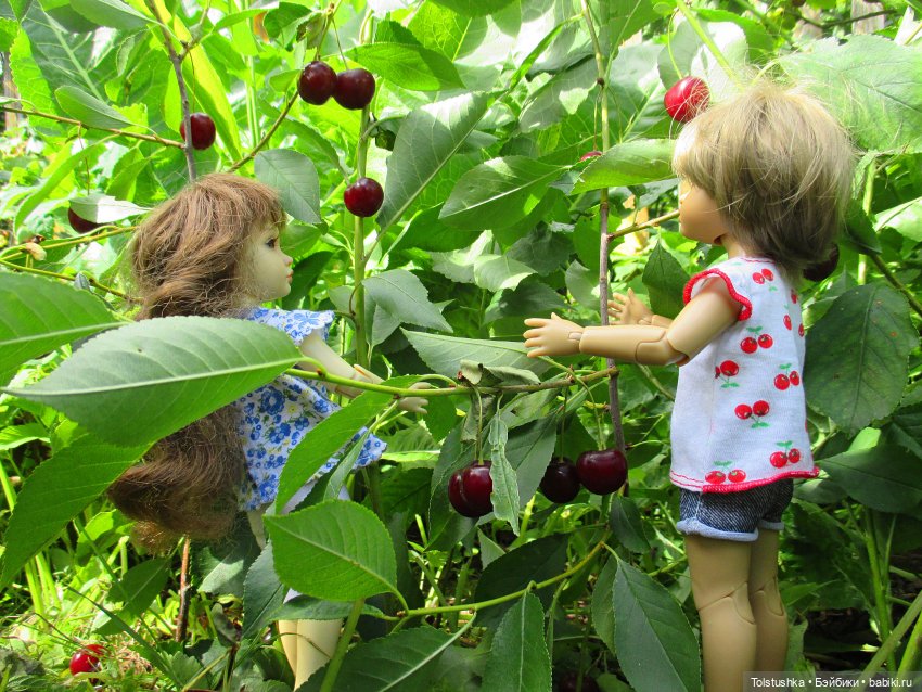 Вишенки — Куклы Iplehouse (Иплхаус): BJD (БЖД) (фото 4)