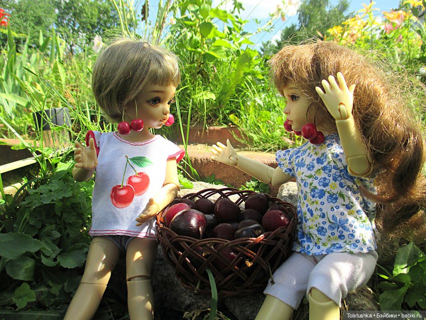 Вишенки — Куклы Iplehouse (Иплхаус): BJD (БЖД)