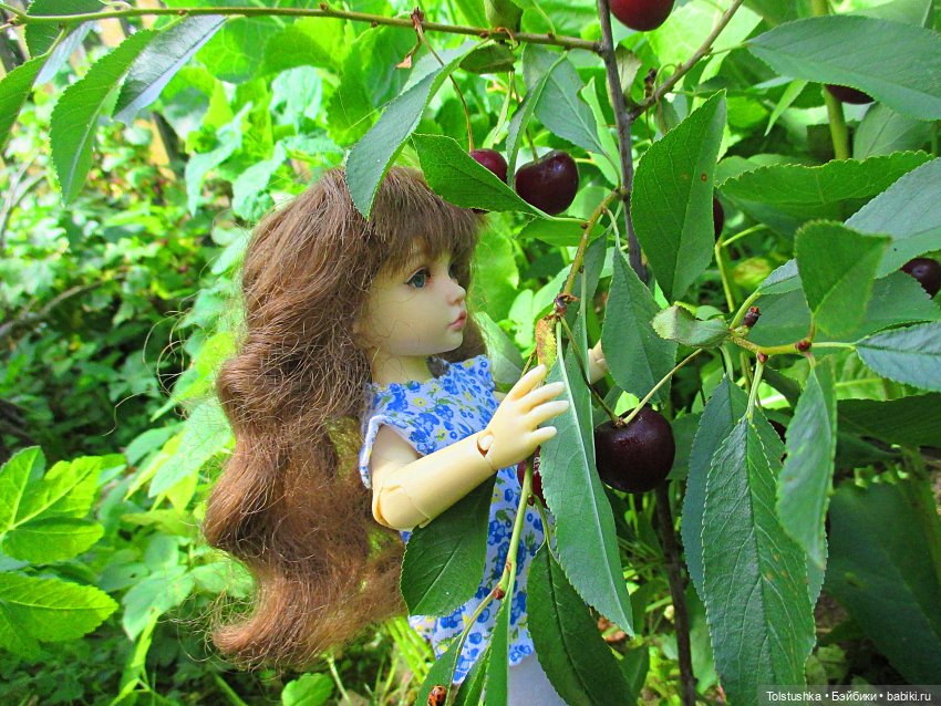 Вишенки — Куклы Iplehouse (Иплхаус): BJD (БЖД) (фото 5)