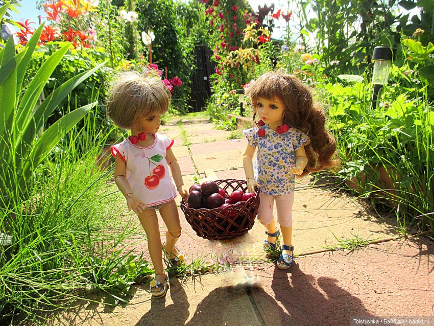 Вишенки — Куклы Iplehouse (Иплхаус): BJD (БЖД)