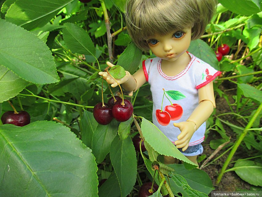 Вишенки — Куклы Iplehouse (Иплхаус): BJD (БЖД) (фото 8)