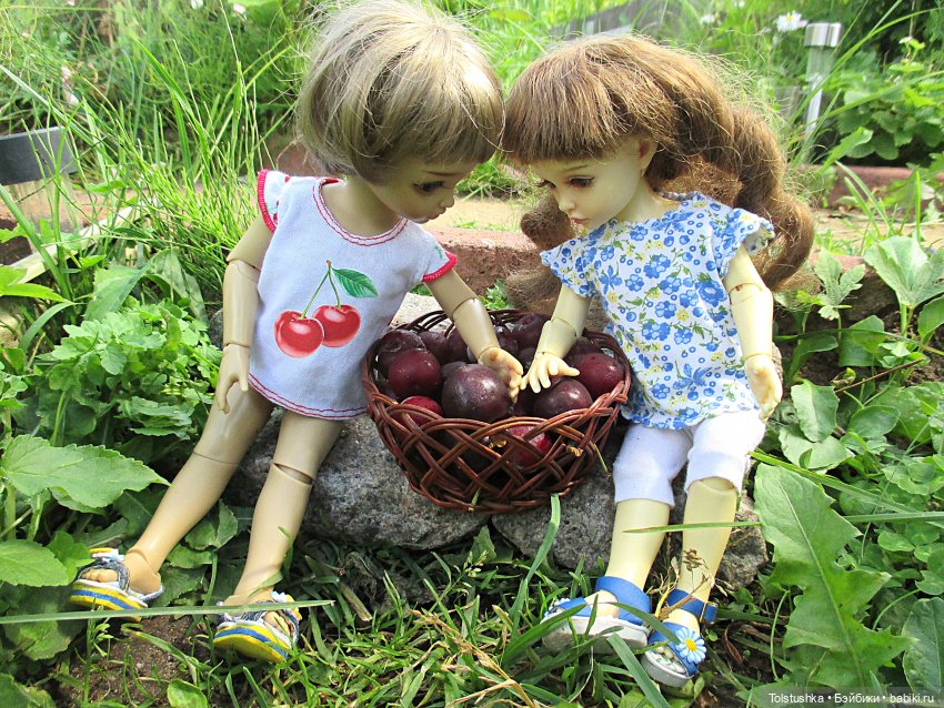 Вишенки — Куклы Iplehouse (Иплхаус): BJD (БЖД) (фото 9)