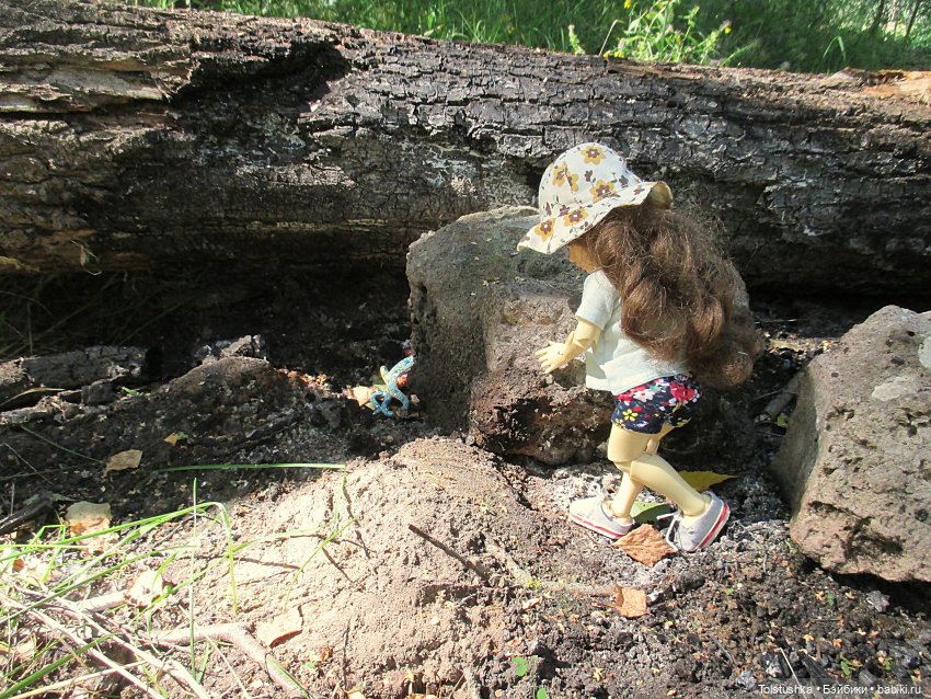 Поход.Часть 1- от рассвета до обеда (фото 9)