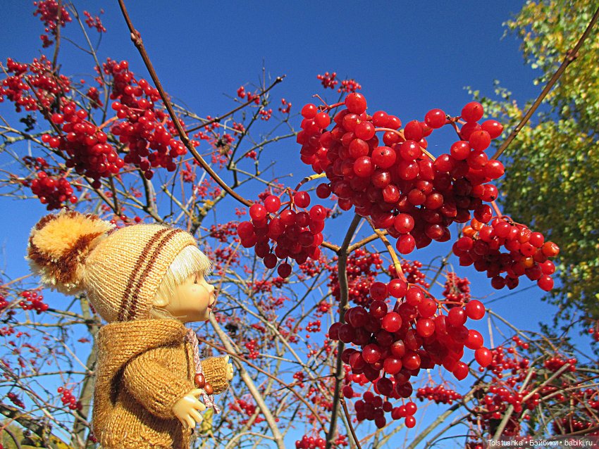 Какой же славный мальчишка (фото 5)