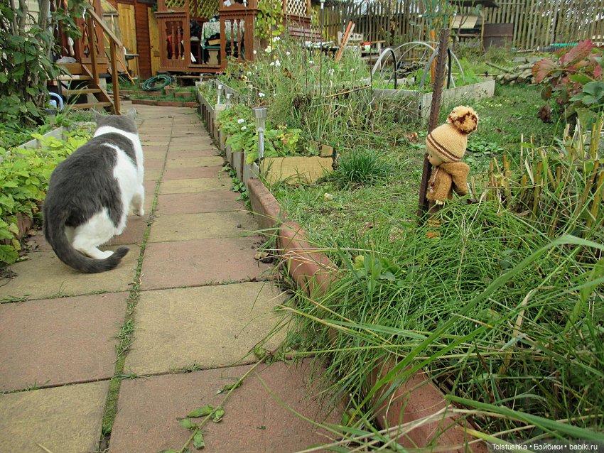 Какой же славный мальчишка (фото 7)