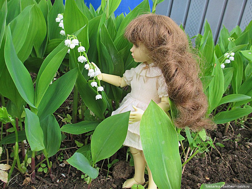 Эльфы тоже любят ландыши — Куклы Iplehouse (Иплхаус): BJD (БЖД)