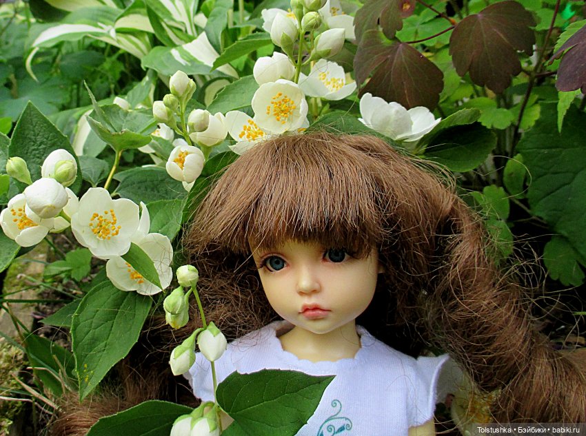 Девчонки- как цветы — Куклы Iplehouse (Иплхаус): BJD (БЖД) (фото 3)