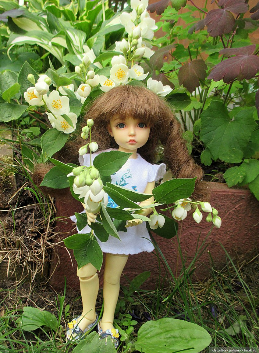 Девчонки- как цветы — Куклы Iplehouse (Иплхаус): BJD (БЖД) (фото 4)