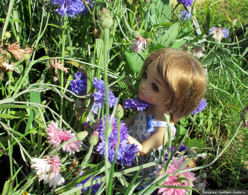 Девчонки- как цветы — Куклы Iplehouse (Иплхаус): BJD (БЖД) (фото 7)