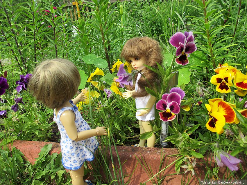 Девчонки- как цветы — Куклы Iplehouse (Иплхаус): BJD (БЖД) (фото 10)