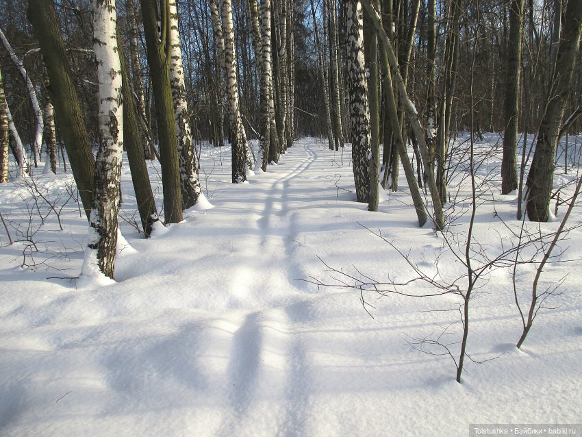 На лыжах. Девчонки — Куклы Iplehouse (Иплхаус): BJD (БЖД) (фото 2)