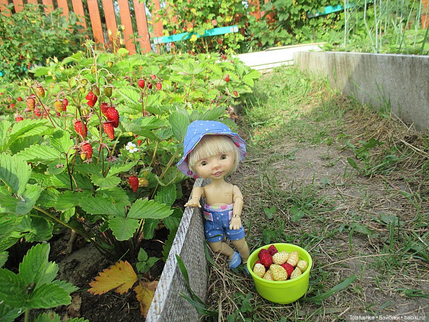 Как ловить бабочек — Куклы Nikki Britt (Никки Бритт): авторские BJD (БЖД) (фото 5)