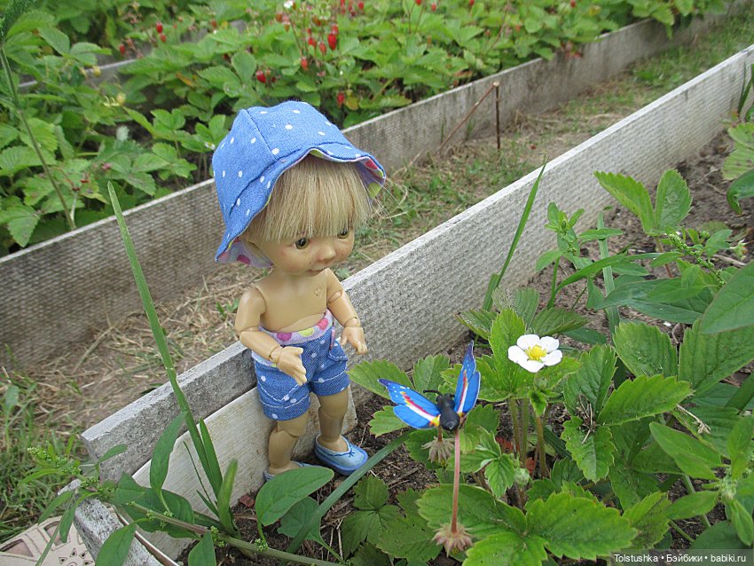 Как ловить бабочек — Куклы Nikki Britt (Никки Бритт): авторские BJD (БЖД) (фото 6)